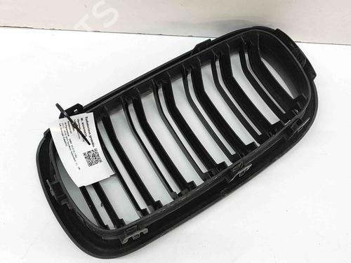 Grille BMW X5 (F15, F85) xDrive 30 d | BP27898718C40