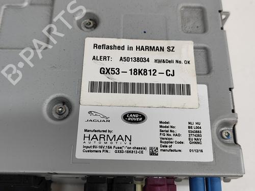 Electronic module LAND ROVER RANGE ROVER EVOQUE (L538) 2.0 D | BP17139966M83 