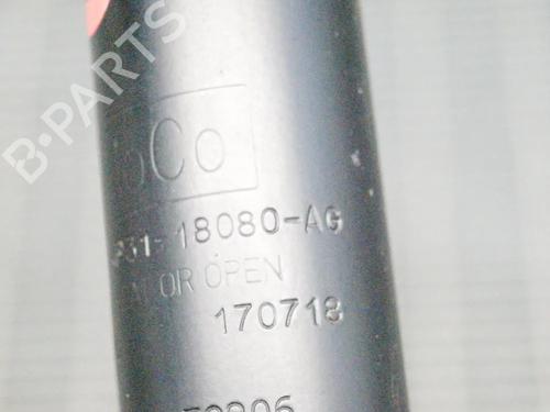 Right rear shock absorber FORD B-MAX (JK) 1.4 | BP6743027M19 