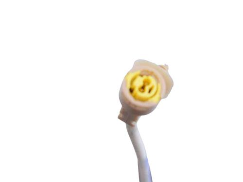 Sicherheitsgurt hinten links PORSCHE PANAMERA (970) 3.0 S E-Hybrid | BP30255040I29 