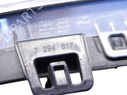 Grille FORD USA MUSTANG Coupe 5.0 302 | BP30256420C40 