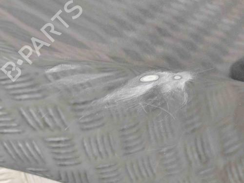 Hood TOYOTA C-HR (_X2_, _H2_) Hybrid (MAXH20) | BP29485988C1 