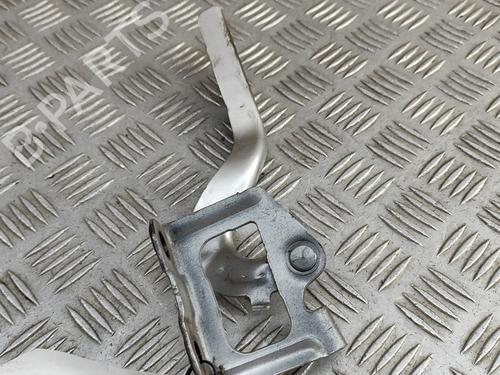 Hinge/Door check strap TOYOTA PRIUS (_W3_) 1.8 Hybrid (ZVW3_) | BP28811904C146 