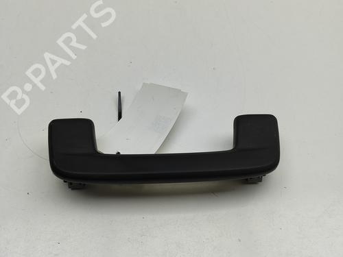 Interior roof handle SKODA ENYAQ iV SUV (5AZ) 85X | BP29731319I35 