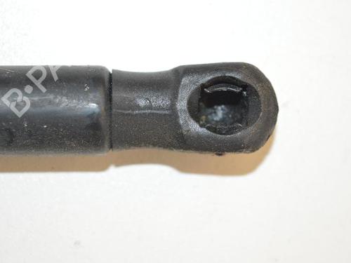 Hood lift support VW PASSAT B6 (3C2) 2.0 TDI 16V | BP30249362C139 