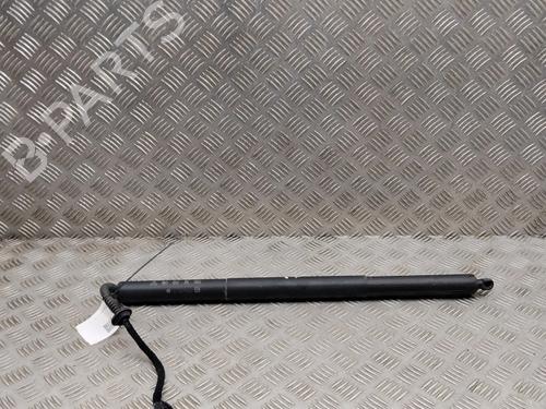 Used Tailgate lift support Tailgate lift support VW TOUAREG (CR7, RC8) 3.0 TDI 4motion (286 hp) 40605347 40605347