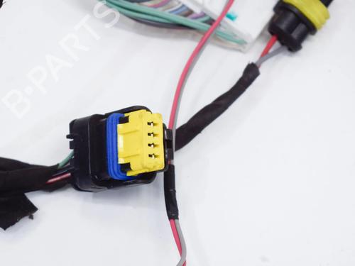 Wiring harness TESLA MODEL X (5YJX) P100D AWD | BP20231185E16 - Image 4