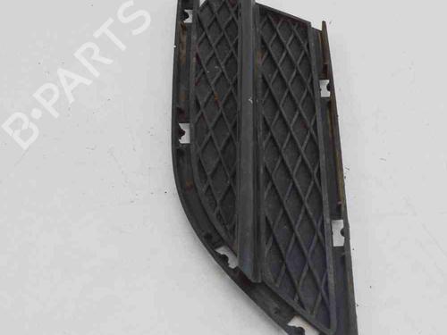 Grille BMW 3 (E90) 318 i | BP14607746C40 