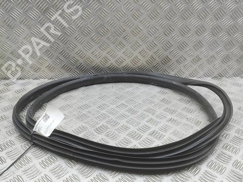 Gummiliste Gummiliste RENAULT ARKANA I (LCM_, LDN_) 1.6 E-TECH 145 (LDMU) (143 hp) 35726934 35726934