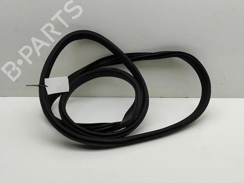 Rubber door seal TESLA MODEL X (5YJX) P100D AWD | BP28435524C142