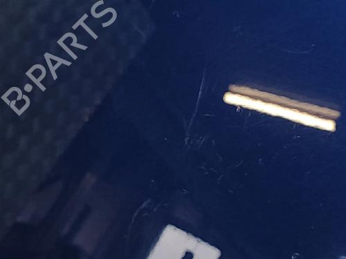 Hood TESLA MODEL 3 (5YJ3) EV AWD | BP28045751C1 