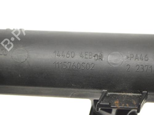 Pipe NISSAN X-TRAIL III (T32_, T32R, T32RR) 1.6 dCi (T32) | BP30216867M125 