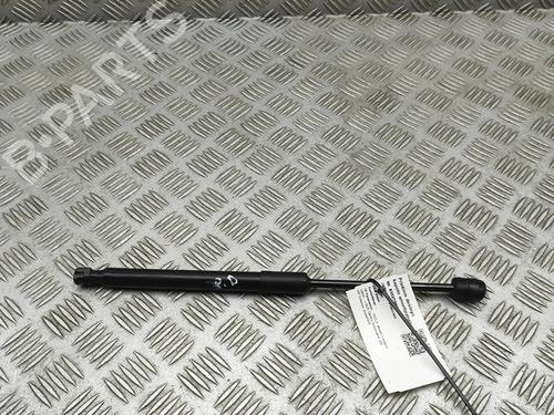 hood-lift-support-tesla-model-3-5yj3-2017-34190573 main image