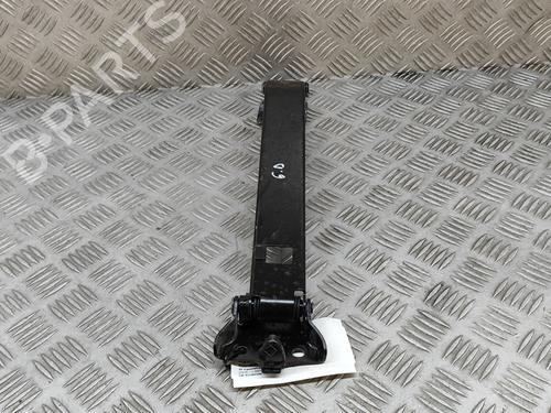 Hinge/Door check strap OPEL MOVANO B Van (X62) 2.3 CDTI FWD (FV) | BP26281053C146 