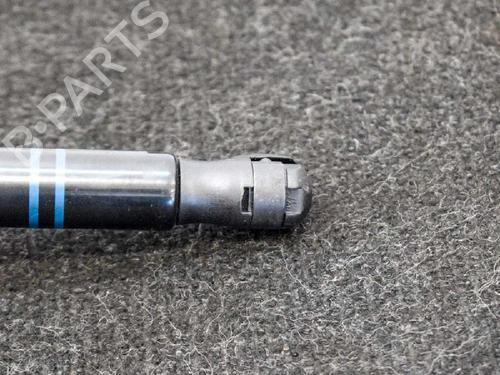 Hood lift support BMW 1 (F20) 120 d | BP14667239C139