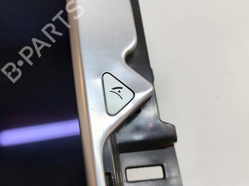 Display TESLA MODEL S (5YJS) P100D AWD | BP28497946C48 