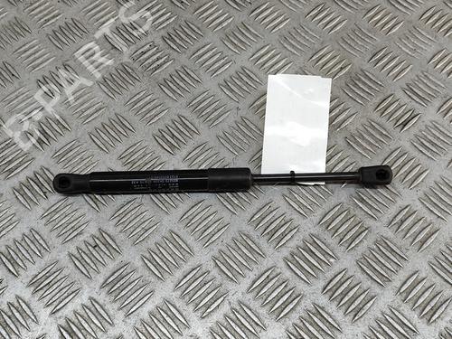 Hood lift support BMW 3 (F30, F80) M3 | BP27799916C139 
