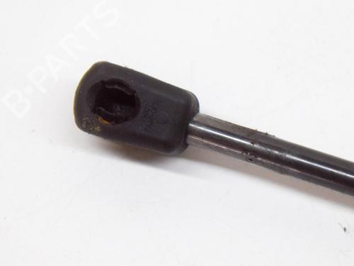 Hood lift support BMW 2 Coupe (F22, F87) 220 d | BP14620518C139 