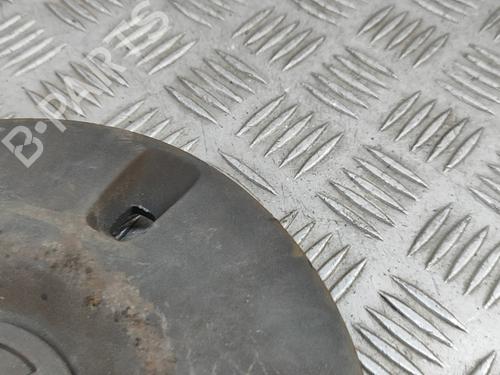 Hub cap VW CRAFTER 30-50 Van (2E_) 2.0 TDI | BP27392790C160 