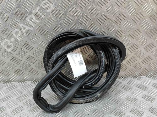 Rubber door seal AUDI A3 Sportback (8YA, 8YF) RS3 TFSI quattro | BP27771579C142