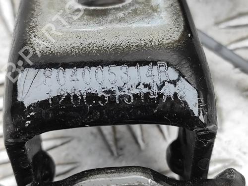 Hinge/Door check strap RENAULT AUSTRAL E-TECH 200 Hybrid (HGM2) | BP33962150C146  - Image 5