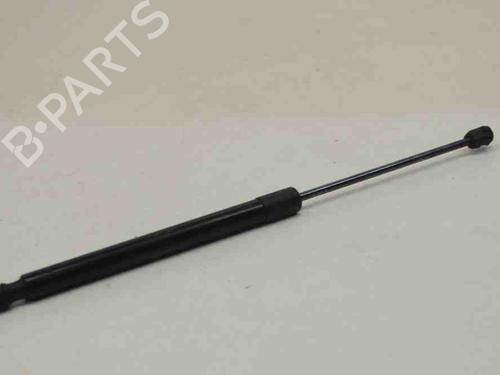 Used Tailgate lift support AUDI Q5 (8RB) 2.0 TDI (150 hp) 14656144