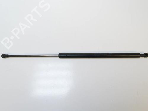 hood-lift-support-lexus-gs-_l1_-2011-33359353 main image