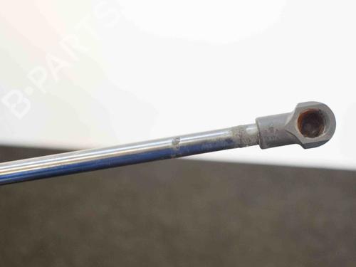 Tailgate lift support NISSAN QASHQAI II (J11, J11_) 1.5 dCi | BP14666948C138