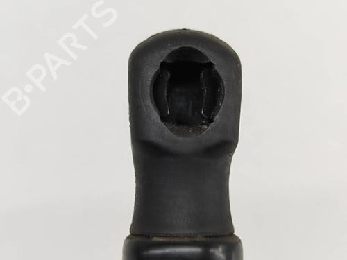 Hood lift support TESLA MODEL Y (5YJY) EV Rear-Wheel Drive | BP31297031C139 