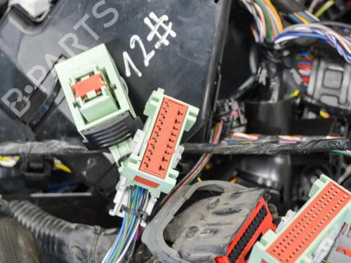 Wiring harness JAGUAR F-TYPE Coupe (X152) 2.0 Ti4 | BP14622415E16 