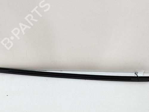 Door moulding trim TESLA MODEL 3 (5YJ3) EV AWD | BP28589988C150 