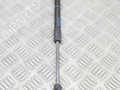 Hood lift support BMW 7 (F01, F02, F03, F04) 730 d | BP14651633C139 