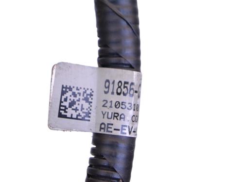  - Image 4