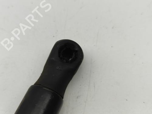 Hood lift support LAND ROVER RANGE ROVER EVOQUE (L538) 2.0 D 4x4 | BP28434345C139 