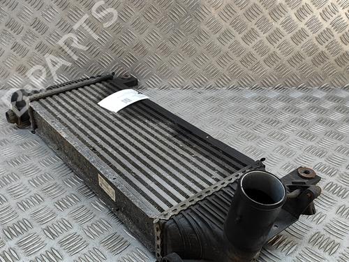 Intercooler NISSAN PATHFINDER III (R51) 2.5 dCi 4WD | BP18036486M30 