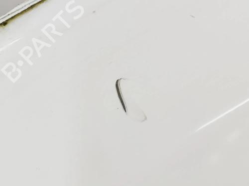 Forskærm venstre NISSAN LEAF (ZE1) Electric | BP30678999C41