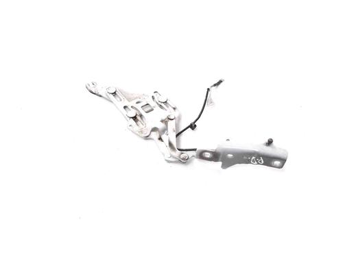 Used Hinge/Door check strap BMW X6 (E71, E72) M 50 d (381 hp) 30214482