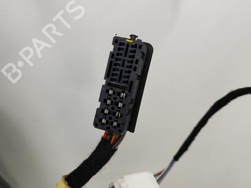 Left front door FIAT DUCATO Van (250_) 130 Multijet 2,3 D | BP18164668C2 