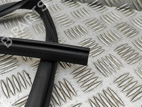 Gummiliste TESLA MODEL Y (5YJY) Long Range All-wheel Drive | BP30856779C142 