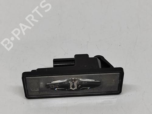 Luz matrícula RENAULT AUSTRAL E-TECH 200 Hybrid (HGM2) (199 hp) 29007755