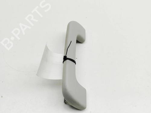 Interior roof handle VW AMAROK (2HA, 2HB, S1B, S6B, S7A, S7B, AGD) 2.0 BiTDI 4motion | BP31314920I35