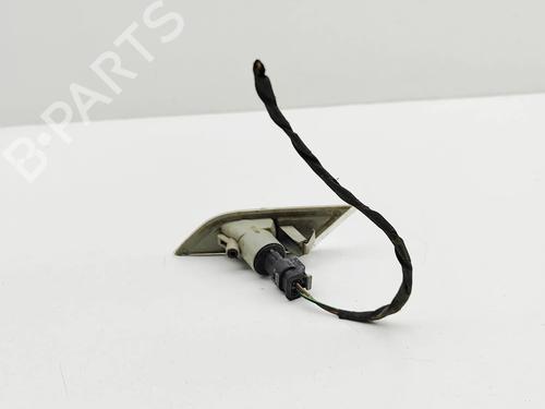 Right side indicator VW TRANSPORTER T6 Van (SGA, SGH, SHA, SHH) 2.0 TDI | BP29945354I19