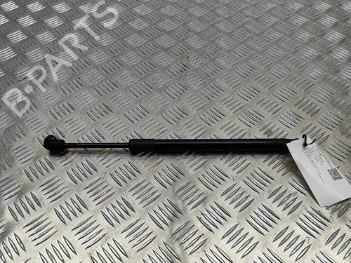 Gasfjeder motorhjelm Gasfjeder motorhjelm BMW X5 (F15, F85) xDrive 30 d (258 hp) 19501020 19501020