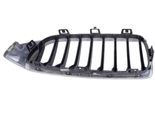 Grille FORD USA MUSTANG Coupe 5.0 302 | BP30256419C40 