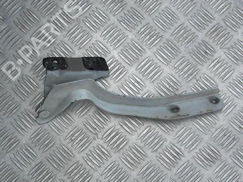 Hinge/Door check strap NISSAN QASHQAI / QASHQAI +2 I (J10, NJ10, JJ10E) 1.5 dCi | BP14653269C146 