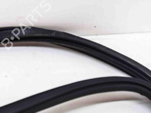 Rubber door seal AUDI Q5 (FYB, FYG) 2.0 TFSI quattro | BP14616586C142 