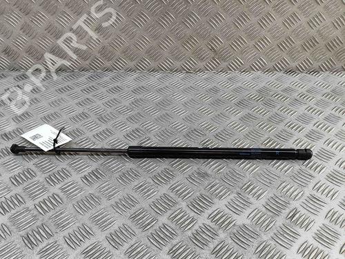 Used Tailgate lift support NISSAN JUKE (F16_) DIG-T 117 (117 hp) 27794427