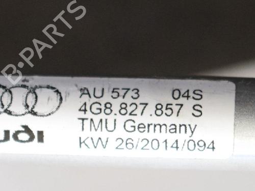 Hinge/Door check strap AUDI A7 Sportback (4GA, 4GF) 3.0 TDI quattro | BP14667686C146