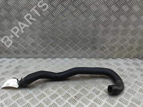 BP33962067M125 main image