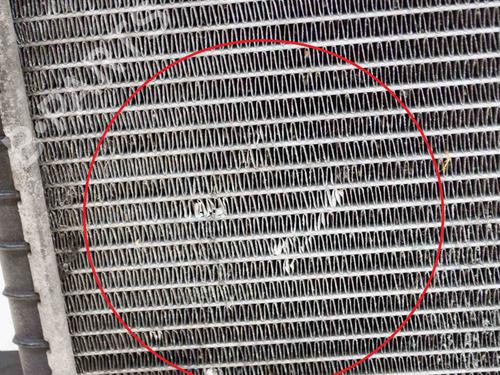 Water radiator LAND ROVER DISCOVERY IV (L319) 3.0 SDV6 4x4 | BP9628029M31